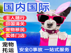 长乐航空邮寄国际宠物托运 【国